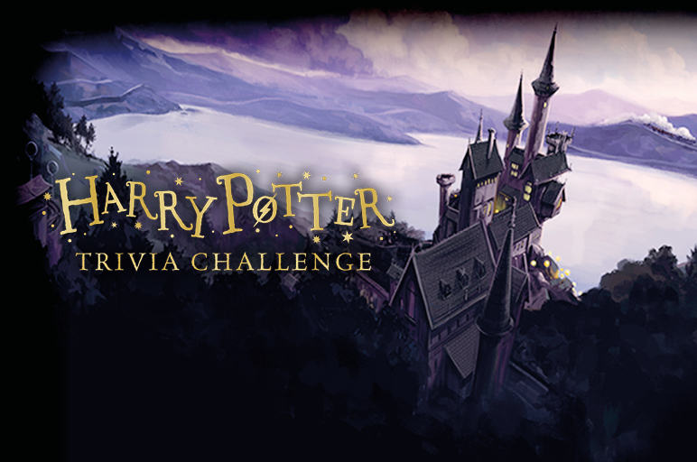 More Fun Stuff Trivia Challenge (1)